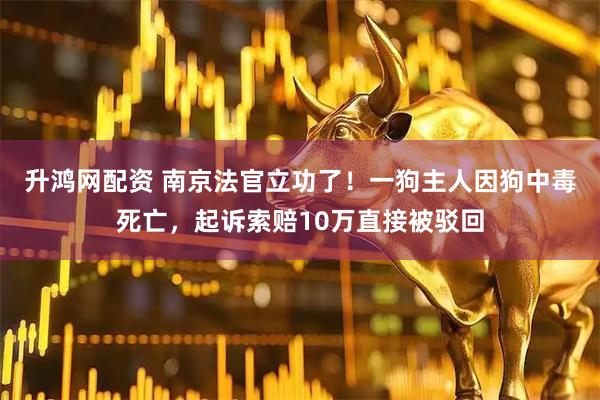 升鸿网配资 南京法官立功了！一狗主人因狗中毒死亡，起诉索赔10万直接被驳回