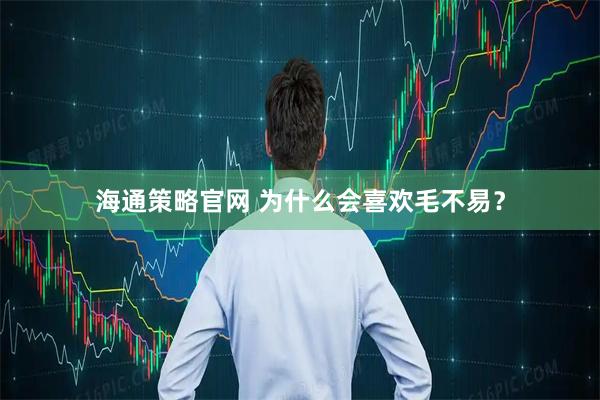 海通策略官网 为什么会喜欢毛不易？