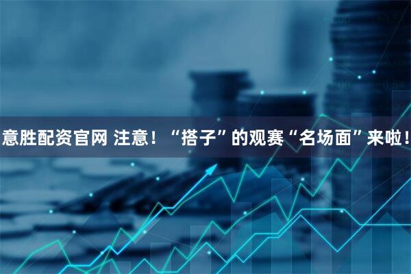 意胜配资官网 注意！“搭子”的观赛“名场面”来啦！