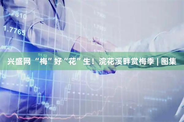 兴盛网 “梅”好“花”生！浣花溪畔赏梅季 | 图集
