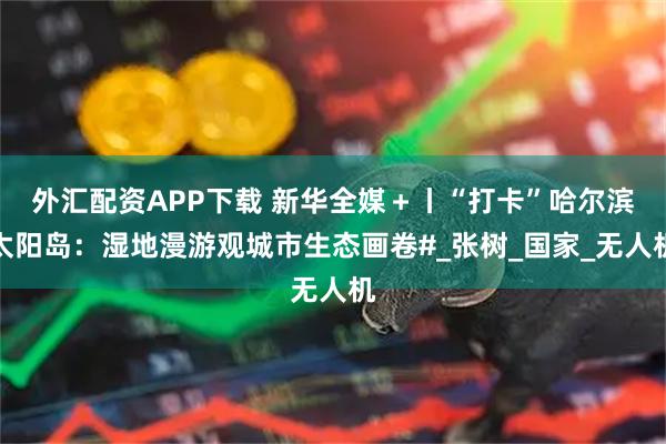 外汇配资APP下载 新华全媒＋丨“打卡”哈尔滨太阳岛：湿地漫游观城市生态画卷#_张树_国家_无人机